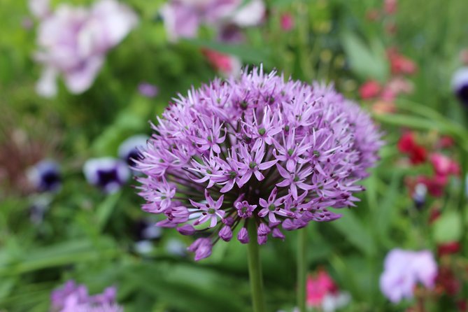 Giverny and Monet House Half-Day Guided From Paris - The Sum Up