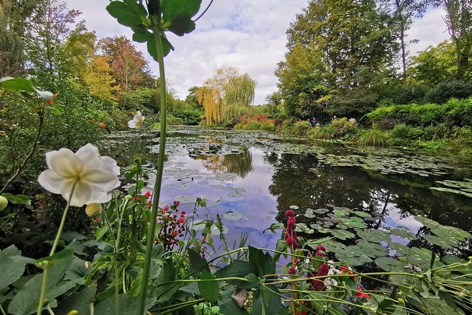 Giverny Auvers Sur Oise Private Tour - Traveler Reviews