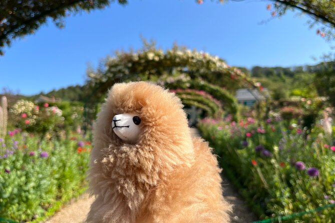 Giverny Half Day Private Guided Tour With Lunch - Itinerary Details