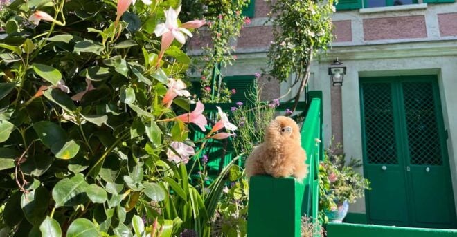 Giverny Half-day Private Tour by Luxury Car - Transportation Experience