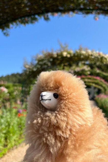 Giverny Half-Day Private Tour by Mini-Van (Up to 6 Ppl) - Booking and Cancellation Policy