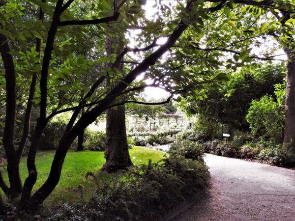 Giverny: Monet's House and Gardens Skip-the-Line Tour - Inclusions and Services Provided During the Tour