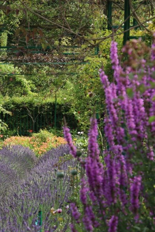 Giverny Private Guided Walking Tour - Tour Details