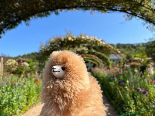 Giverny & Versailles Full-day Tour by Comfort Car - Comfortable Transportation