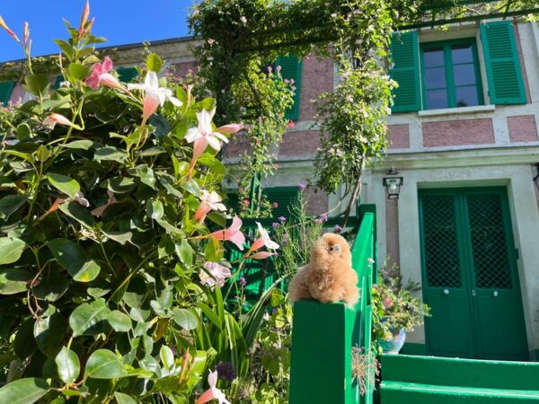 Giverny & Versailles Full-day Tour by Comfort Car - Booking and Cancellation Policy