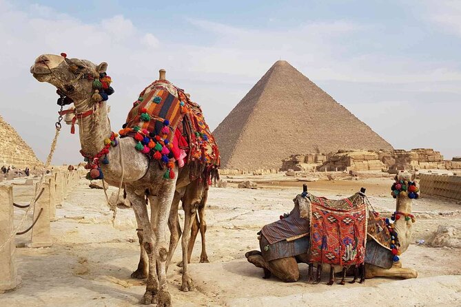 Giza Pyramids and Egyptian Museum Tour From Alexandria Port - Pickup Information