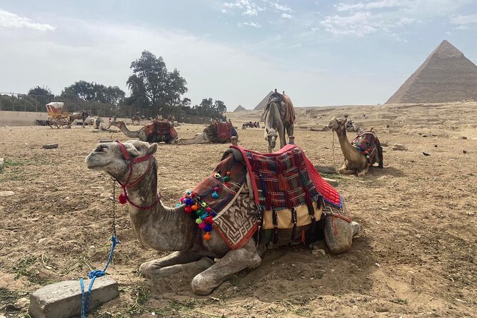 Giza Pyramids ,Camel Ride & ATV , Shopping Tour and Dinner Cruise - Explore Cairos Shopping Scene