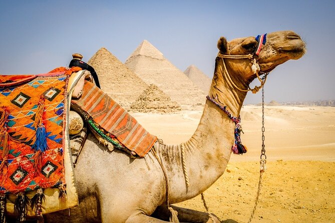 Giza Pyramids, Sphinx, ATV, and Camel: Private Tour With Lunch  - Cairo - Tour Itinerary and Lunch Details