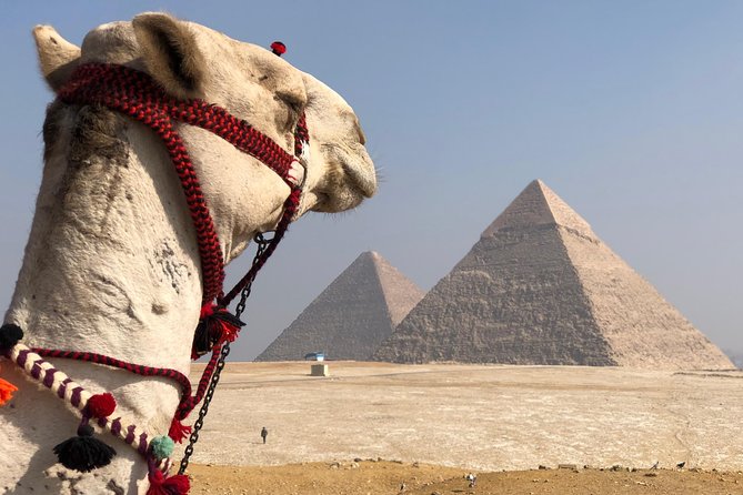 Giza Pyramids, Sphinx & Egyptian Museum Treasures With Private Qualified Guide - Tour Highlights