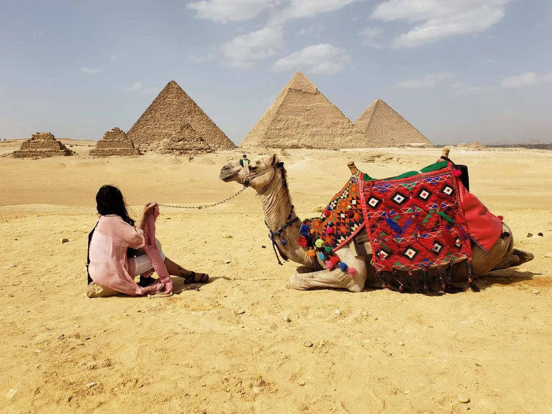 Giza Pyramids & Sphinx Half-Day Historical Walking Tour - Who will get the most from this walk