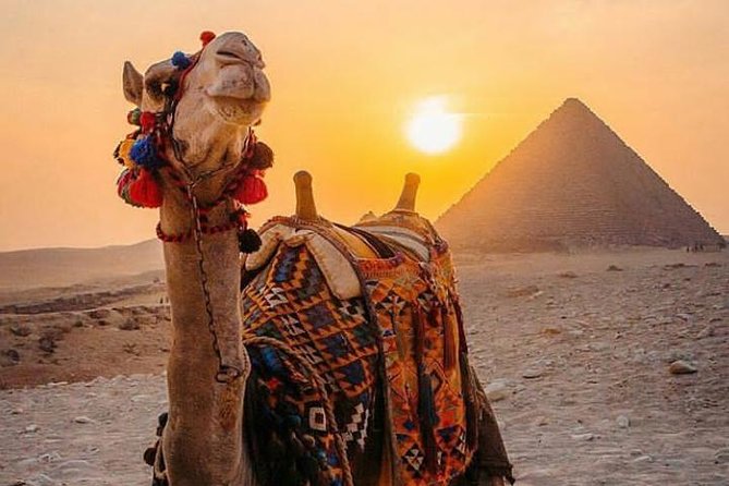 Giza Pyramids Tour - Tour Highlights