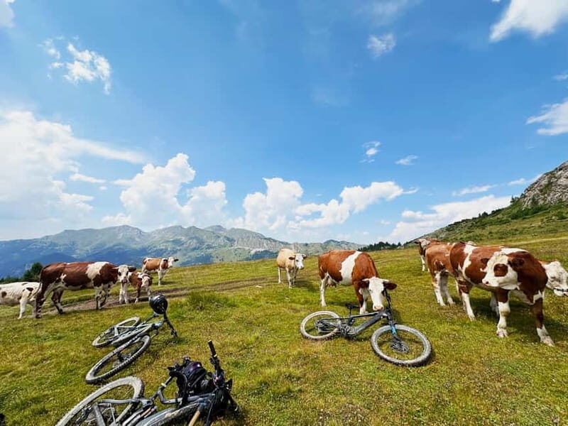 "Gjakova: 7 Day MTB Tour with tasting Epic Trails - FAQ