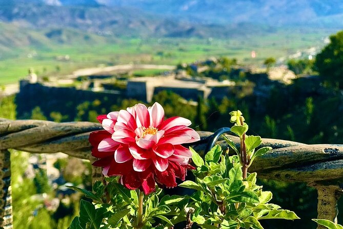 Gjirokastra, Full Day Trip From Tirana - Tour Highlights