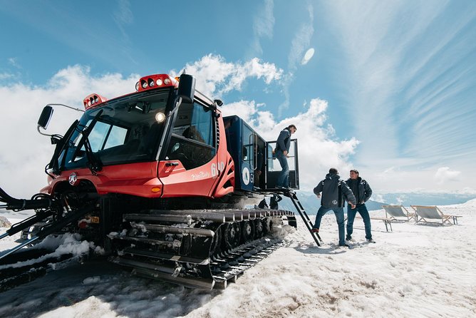 Glacier 3000 Ticket Including Cable Car and Peak Walk by Tissot - Reviews