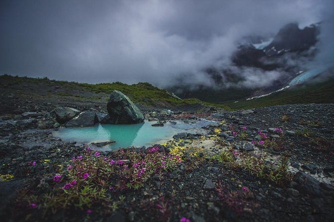 Glacier and Mountain Viewing Tour - The Sum Up