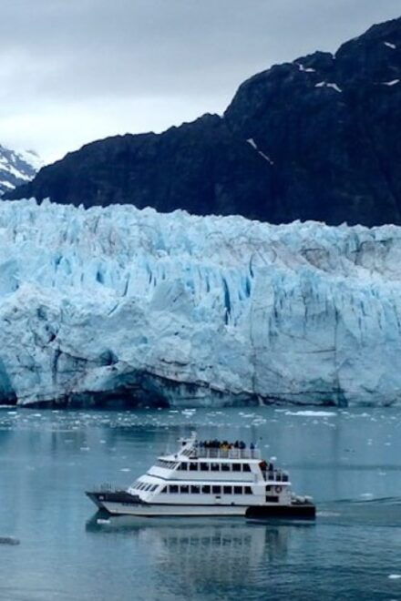 Glacier Bay: Glacier and Wildlife Catamaran Tour - Cancellation and Reservation