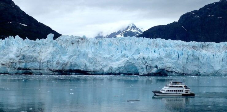 Glacier Bay: Glacier and Wildlife Catamaran Tour - Inclusions