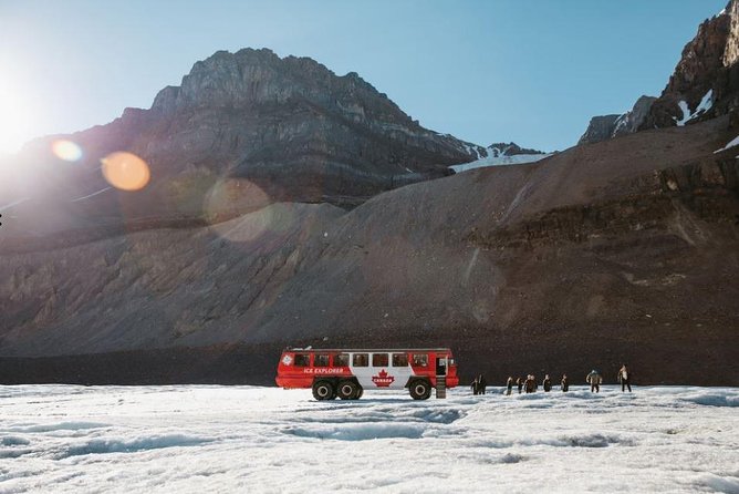 Glacier Day Tour: Calgary, Bow Lake, Columbia Icefield - Company Response and Communication