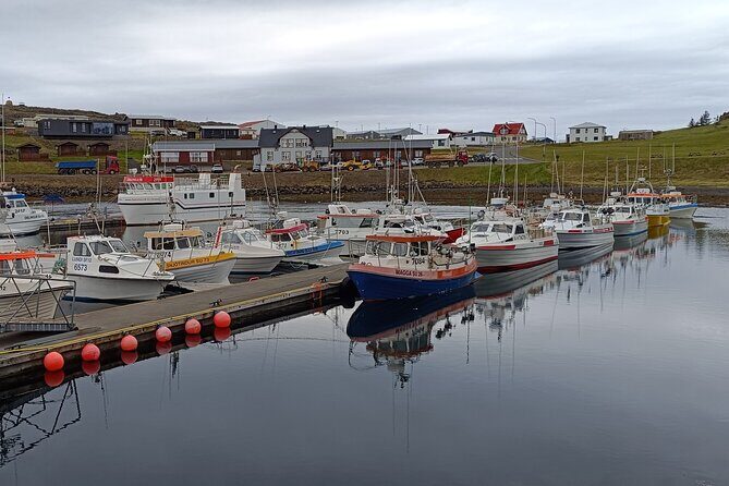 Glacier Lagoon Diamond Beach and Stokksnes From Djúpivogur - The Value of This Tour