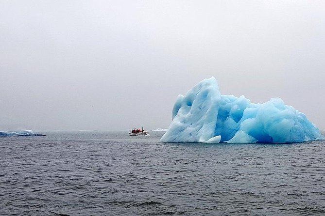 Glacier Lagoon & South Coast. Private Day Tour - Frequently Asked Questions