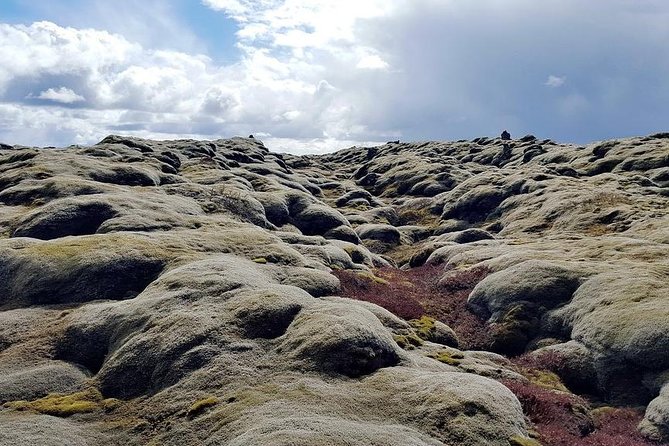 Glacier Lagoon & South Coast. Private Day Tour - Additional Information