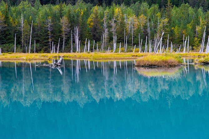 Glacier & Wildlife Discovery Tour - Tour Overview and Itinerary