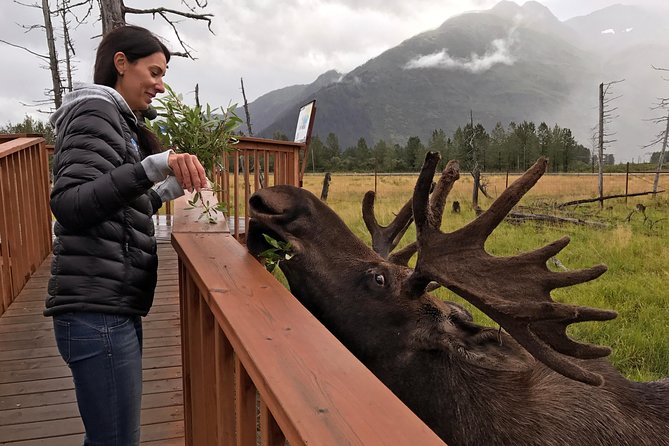 Glaciers and Wildlife: Super Scenic Day Tour From Anchorage - Pickup and Logistics