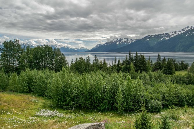 Glaciers and Wildlife: Super Scenic Day Tour From Anchorage - Terms and Conditions