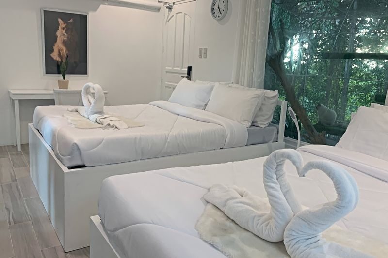 Glamping Experience by Zoobic Glampz in Subic - Zoobic Glampz at a glance