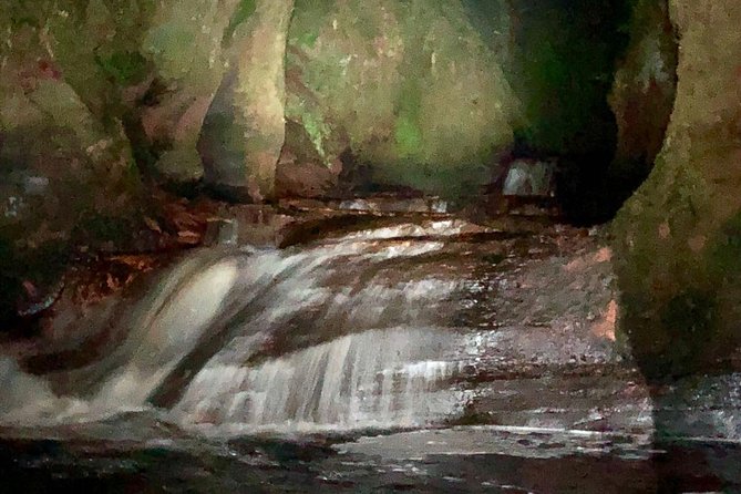 Glasgow: Discover a Hidden Valley After Dark - Whats Included