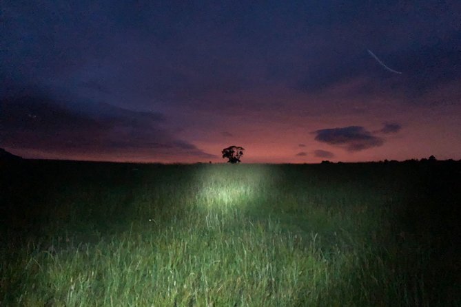 Glasgow: Discover a Hidden Valley After Dark - What to Expect
