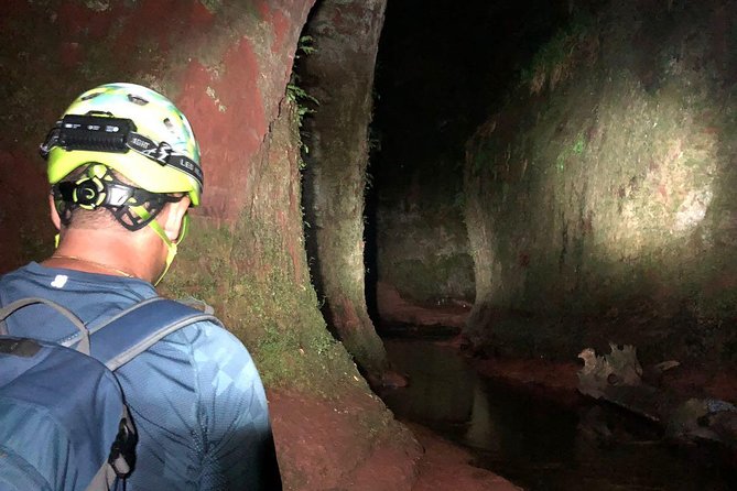 Glasgow: Discover a Hidden Valley After Dark - Additional Info and Cancellation Policy