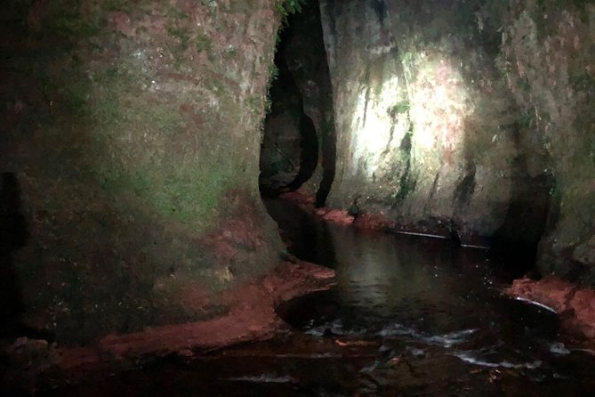 Glasgow: Discover a Hidden Valley After Dark - The Sum Up
