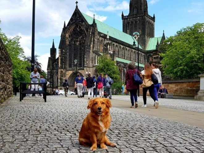 Glasgow: Gander Walking Tour - Inclusion Details