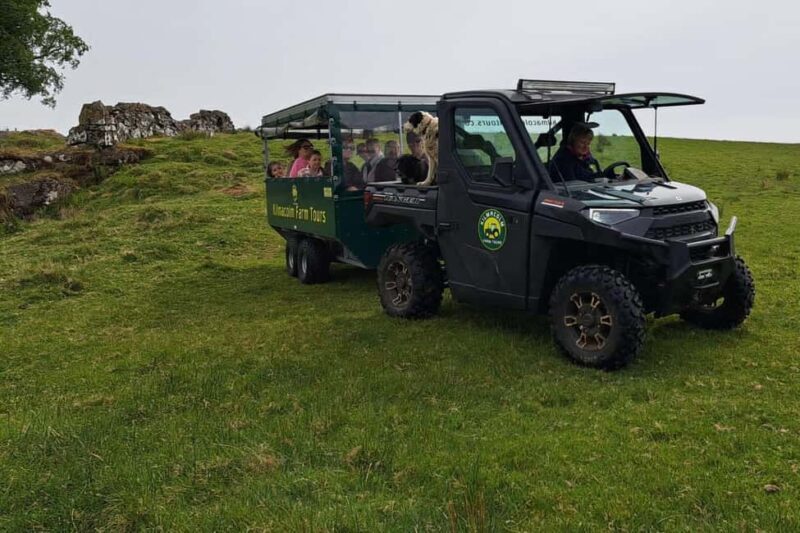 Glasgow: Highland Cow Trailer Tour with home baking - Who Should Consider This Tour?