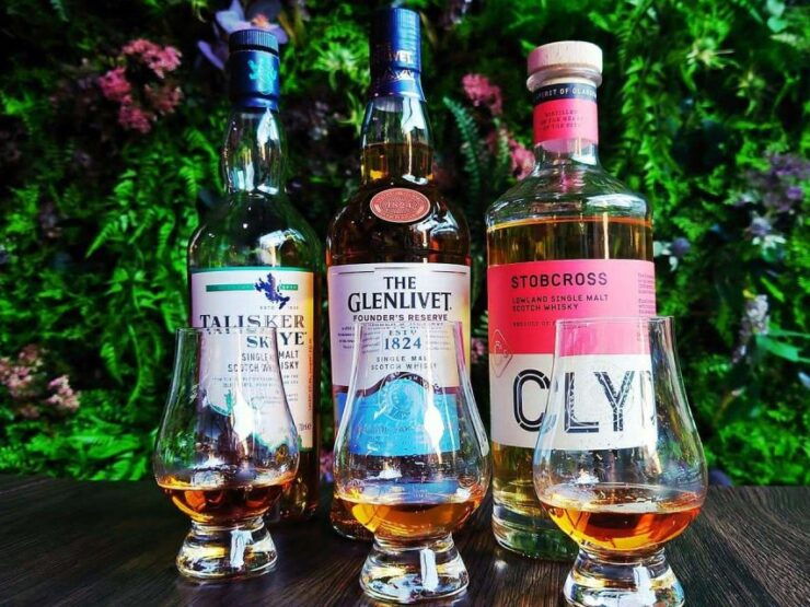 Glasgow: Whisky Flight and Scottish Cheeseboard - Activity Details