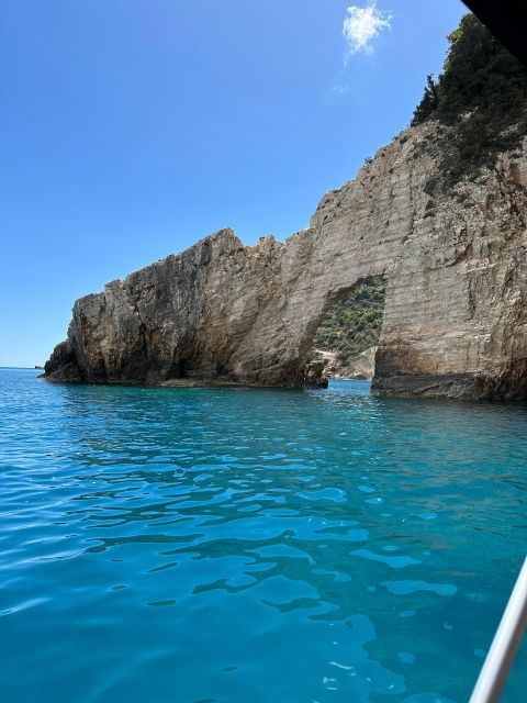 Glass Boat Cruises to Spot Turtles - Good To Know
