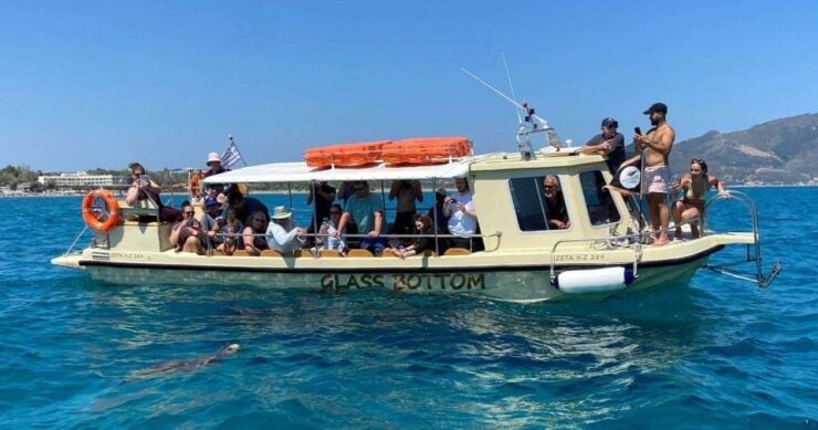 Glass Boat Cruises to Spot Turtles - Itinerary Highlights