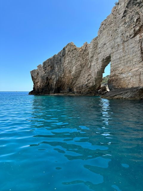 Glass Boat Cruises to Spot Turtles - Customer Testimonial