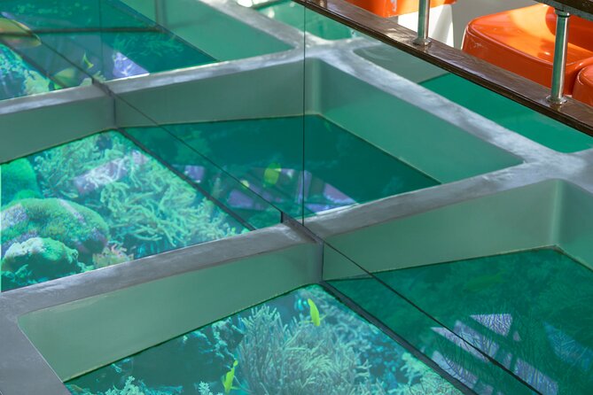 Glass-Bottom Boat 2-Hours Tour and Coral-Reef Viewing From Aqaba - Customer Reviews