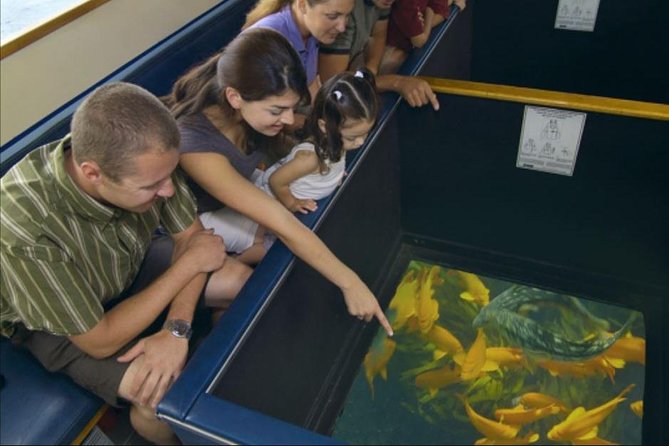 Glass Bottom Boat: Catalina Island Tour - Traveler Photos and Reviews