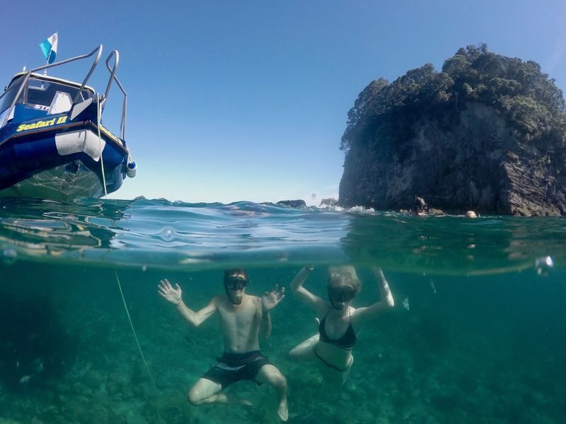 Glass Bottom Boat Cruise at Cathedral Cove in New Zealand - At a glance