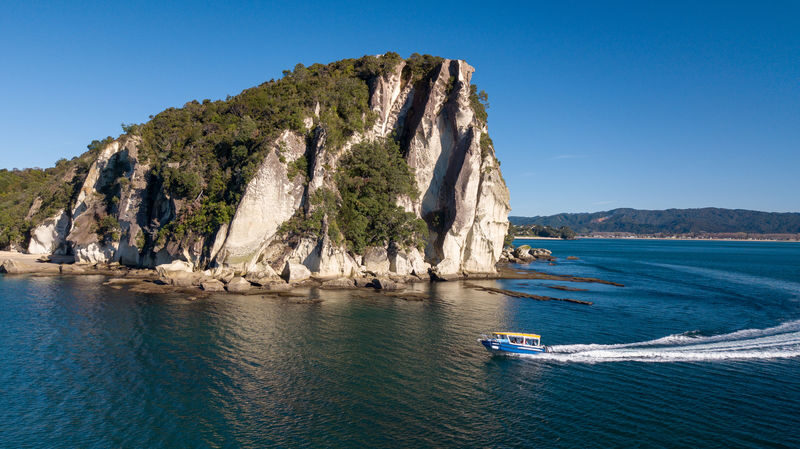 Glass Bottom Boat Cruise at Cathedral Cove in New Zealand - Looking below the surface