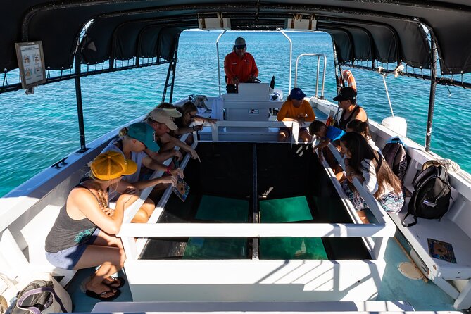Glass-Bottom Boat Cruise From Waikoloa - Overview of the Experience