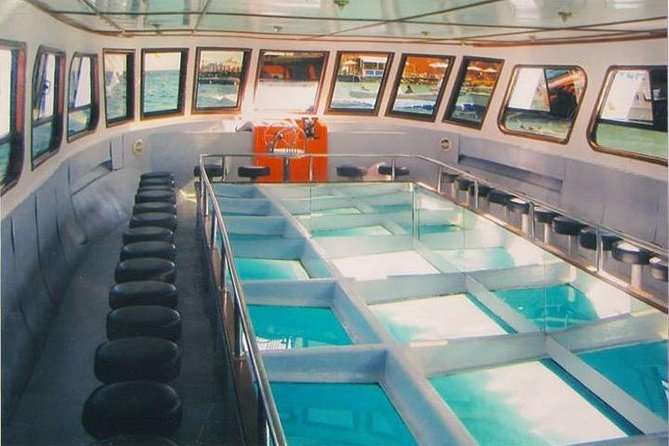Glass Bottom Boat Excursion in Sharm El Sheikh - Traveler Photos and Reviews