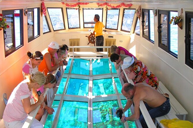 Glass Bottom Boat Excursion in Sharm El Sheikh - Trip Highlights
