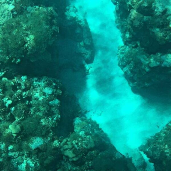 Glass Bottom Boat Ride in Trincomalee - Directions for the Boat Ride