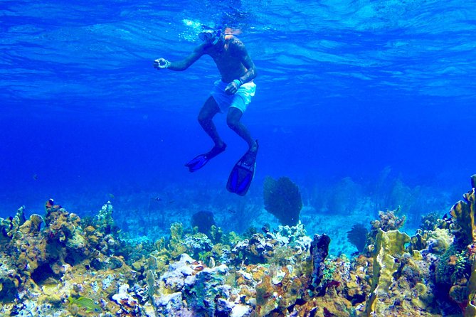 Glass Bottom Boat Ride/Snorkeling/Booby Cay Island From Grand Palladium Lucea - Activity Details