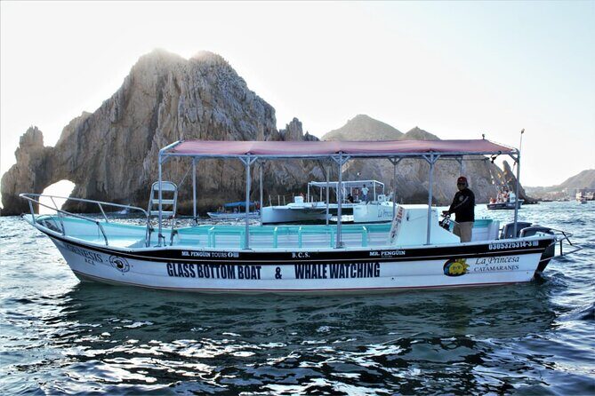 Glass Bottom Boat Sightseeing Tour in Cabo San Lucas - Introduction