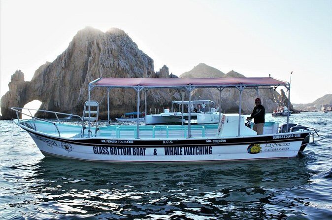 Glass Bottom Boat Sightseeing Tour in Cabo San Lucas - The Practicalities: What You Need to Know